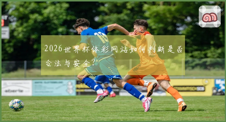 2026世界杯体彩网站如何判断是否合法与安全？