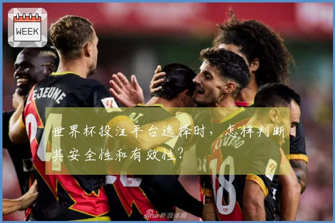 世界杯投注平台选择时，怎样判断其安全性和有效性？