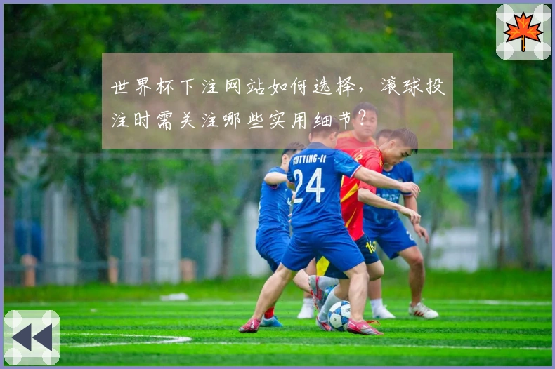 世界杯下注网站如何选择，滚球投注时需关注哪些实用细节？